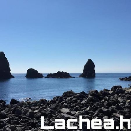 Lachea House Appartamento Sul Mare Dei Ciclopi Aci Castello Exterior photo